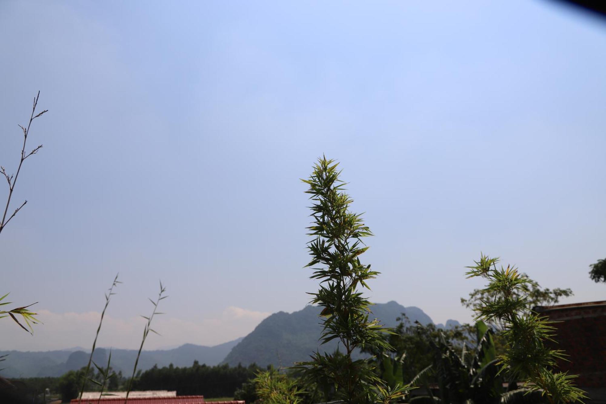Phong Nha Friendly Home Экстерьер фото